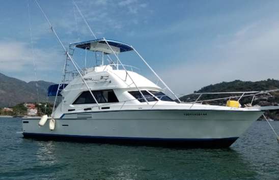 Yates de Lujo en Ixtapa Zihuatanejo. Yates Privados y Compartidos en Ixtapa Zihuatanejo. Renta de Yates en Ixtapa Zihuatanejo. Yates y Botes de Pesca en Ixtapa Zihuatanejo