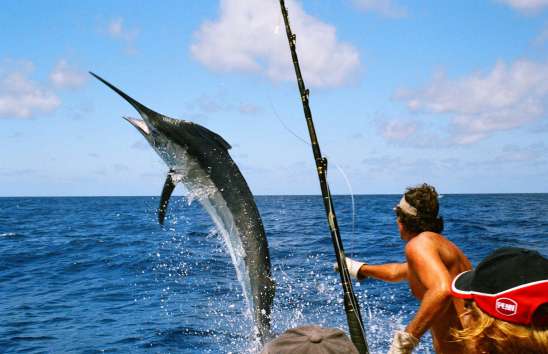 Tour recorrido Pesca de Altura Ixtapa Zihuatanejo en Yate (Pesca Deportiva). Tour recorrido Pesca Pez Vela en Yate Ixtapa Zihuatanejo. Tour recorrido Pesca Marlín en Yate Ixtapa Zihuatanejo. Tour recorrido Pesca Dorado en Yate Ixtapa Zihuatanejo