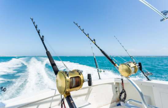 Tour recorrido Pesca de Altura Ixtapa Zihuatanejo en Yate (Pesca Deportiva). Tour recorrido Pesca Pez Vela en Yate Ixtapa Zihuatanejo. Tour recorrido Pesca Marlín en Yate Ixtapa Zihuatanejo. Tour recorrido Pesca Dorado en Yate Ixtapa Zihuatanejo