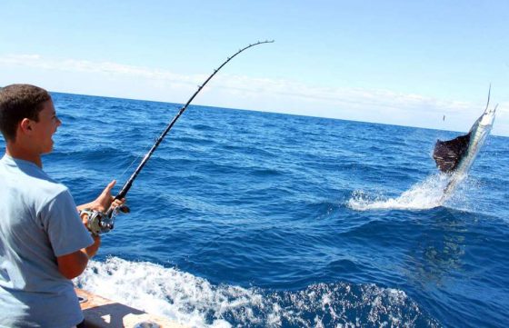 Tour recorrido Pesca de Altura Ixtapa Zihuatanejo en Yate (Pesca Deportiva). Tour recorrido Pesca Pez Vela en Yate Ixtapa Zihuatanejo. Tour recorrido Pesca Marlín en Yate Ixtapa Zihuatanejo. Tour recorrido Pesca Dorado en Yate Ixtapa Zihuatanejo