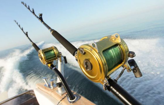 Tour recorrido Pesca de Altura Ixtapa Zihuatanejo en Yate (Pesca Deportiva). Tour recorrido Pesca Pez Vela en Yate Ixtapa Zihuatanejo. Tour recorrido Pesca Marlín en Yate Ixtapa Zihuatanejo. Tour recorrido Pesca Dorado en Yate Ixtapa Zihuatanejo