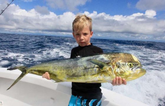 Tour recorrido Pesca de Altura Ixtapa Zihuatanejo en Yate (Pesca Deportiva). Tour recorrido Pesca Pez Vela en Yate Ixtapa Zihuatanejo. Tour recorrido Pesca Marlín en Yate Ixtapa Zihuatanejo. Tour recorrido Pesca Dorado en Yate Ixtapa Zihuatanejo