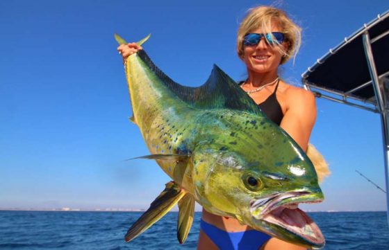 Tour recorrido Pesca de Altura Ixtapa Zihuatanejo en Yate (Pesca Deportiva). Tour recorrido Pesca Pez Vela en Yate Ixtapa Zihuatanejo. Tour recorrido Pesca Marlín en Yate Ixtapa Zihuatanejo. Tour recorrido Pesca Dorado en Yate Ixtapa Zihuatanejo