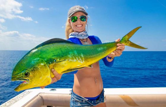 Tour recorrido Pesca de Altura Ixtapa Zihuatanejo en Yate (Pesca Deportiva). Tour recorrido Pesca Pez Vela en Yate Ixtapa Zihuatanejo. Tour recorrido Pesca Marlín en Yate Ixtapa Zihuatanejo. Tour recorrido Pesca Dorado en Yate Ixtapa Zihuatanejo